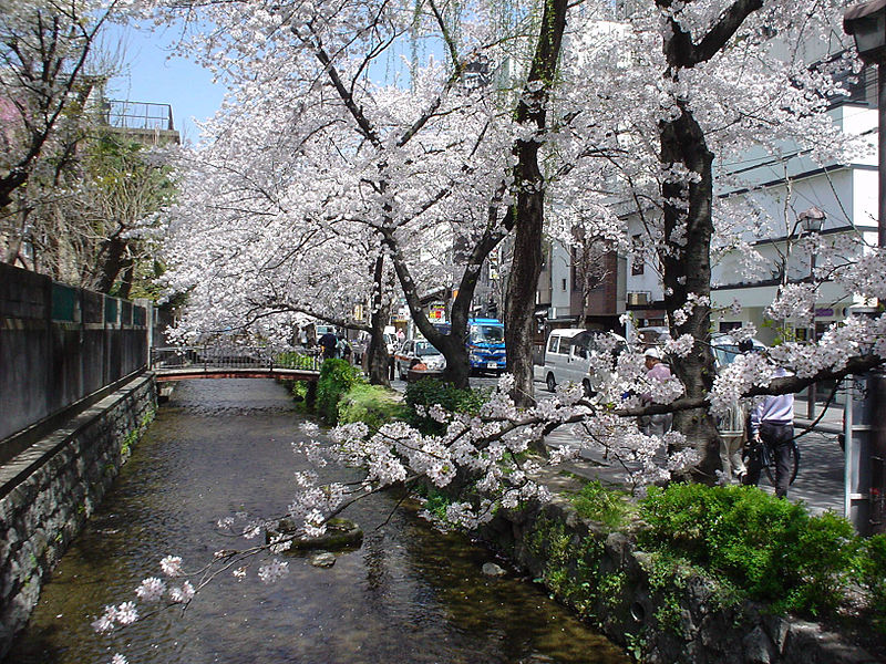 File:TakasegawaToSakura.JPG