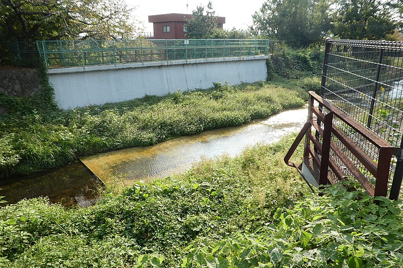 File:Tamagawa on the track.jpg