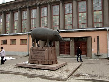 "Cochon de bronze" de Mati Karmin.