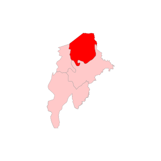 <span class="mw-page-title-main">Teok Assembly constituency</span> Constituency of the Assam legislative assembly in India