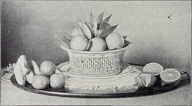 File:The Boston Cooking School magazine of culinary science and domestic economics (1905) (14793170973).jpg