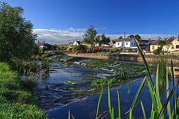 Fitxategi:The_River_Maigue_at_Bruree_-_geograph.org.uk_-_1543488.jpg