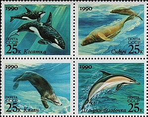 The Soviet Union 1990 CPA 6251-6254 block of 4 (Marine Mammals. Killer whale, steller sea lion, sea otter and Short-beaked common dolphin).jpg