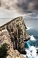 Dolerite rock columns in Cape Hauy, Tasmania