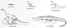 1917 restorations of animals from the Connecticut Valley then thought to have lived during the Triassic. The Portland Formation, which Podokesaurus is from, was redated to the Early Jurassic in 1977 The origin and evolution of life, on the theory of action, reaction and interaction of energy (1917) (14743137946).jpg