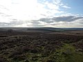 Thumbnail for File:The view towards Hell Bank Plantation - geograph.org.uk - 1617622.jpg