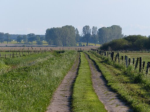 Thurbruch Ulrichshorst Betonplattenweg