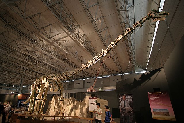 Unnamed titanosaur from Japan labelled "Xinghesaurus"