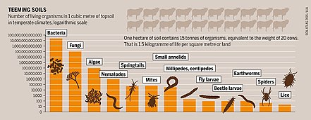 Topsoil organisms bar graph Topsoil organisms bar graph.jpg