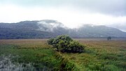 Thumbnail for File:Traeth Mawr - 2013 - geograph.org.uk - 4077286.jpg