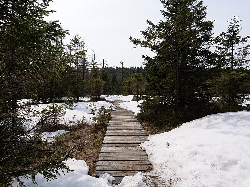 File:Trail at the Bodebruch 06.jpg