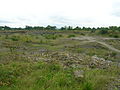 Trearne Quarry looking north.