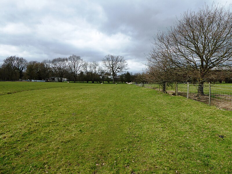 File:Trottiscliffe Meadows 2.jpg