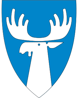 Tynset Municipality in Innlandet, Norway