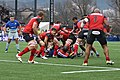 USO - Saracens - 20151213 - Fabien Cibray behind the ruck