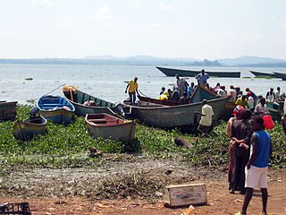 <span class="mw-page-title-main">Fishing on Lake Victoria</span>