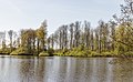 * Nomination View over the Bekhofplas. Location, nature Beekdal Linde Bekhofplas in the Netherlands. --Famberhorst 15:22, 7 May 2016 (UTC) * Promotion Good quality. --A.Savin 01:43, 8 May 2016 (UTC)
