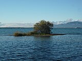 Unbenannte Insel im Bodensee.jpg