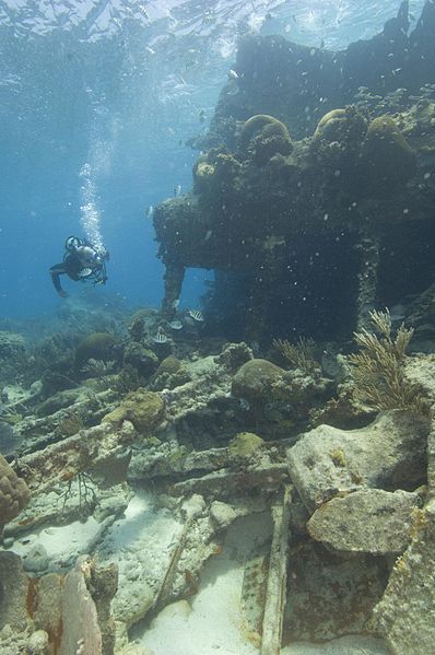 File:Underwater Explorations (5643360865).jpg