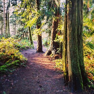 <span class="mw-page-title-main">Cable Bay Trail</span>