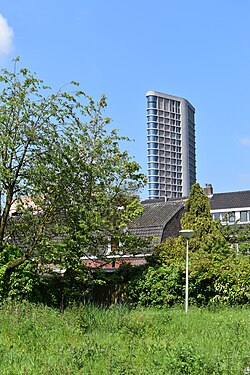 Vesteda Tower through the trees, Eindhoven