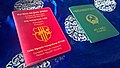 A Monarchist Vietnamese passport holder incorporating Nguyễn Dynasty period symbolism.