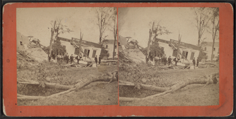 File:View of downed trees and collapsed houses, by William Allderige & Son.png