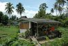 Rustic house in Ko Kret