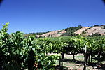 Thumbnail for Mendocino County wine