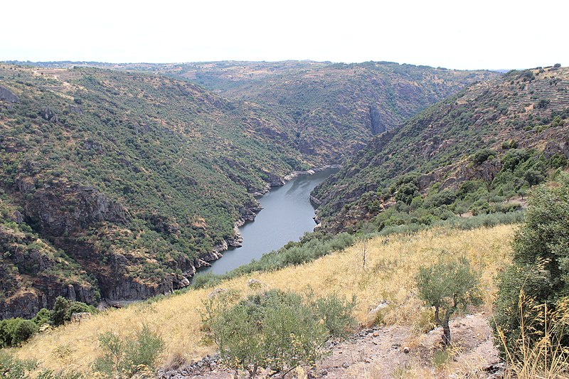 File:Vista sobre o Rio.jpg