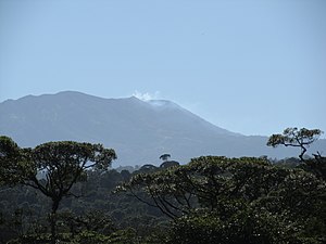 Volcan Turrialba visto Desde el Canopy Тропический лес cerca del Braulio Carrillo 02.JPG 