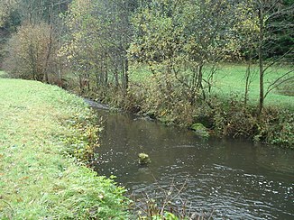 The forest stream west of Kirchzell