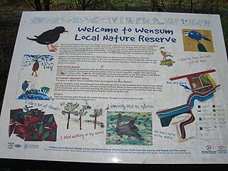 <span class="mw-page-title-main">Wensum Local Nature Reserve</span> Local Nature Reserve in Norwich, England
