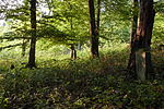 Jüdischer Friedhof (Wierschem)