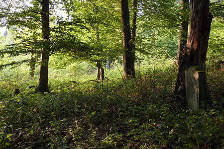 Wierschem jüdischer Friedhof106