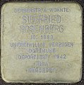 image=File:Witten Stolperstein Siegfried Rosenberg.jpg