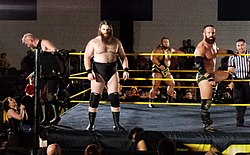 Young (far right) as part of Sanity in May 2017 Wolfe, Cross, and Dain (34320998342) (cropped).jpg