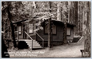 1323 - Cottages at Lane's Redwood Flat on the Redwood Highway