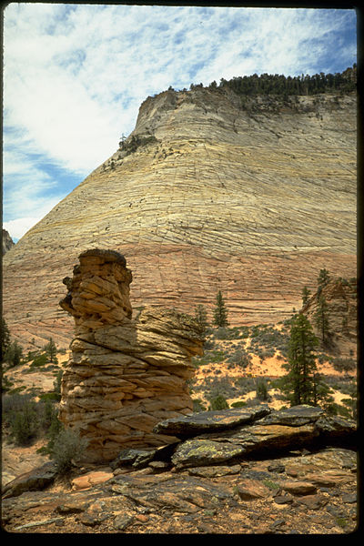 File:Zion National Park ZION9553.jpg