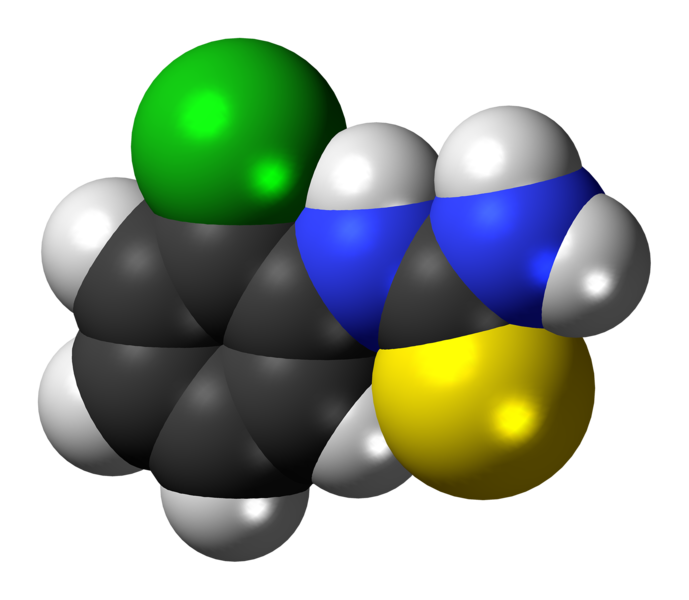 File:(2-Chlorophenyl)thiourea molecule spacefill.png