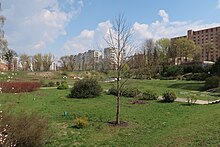 Ботанический сад Хмельницкого национального университета. Фото 87.jpg