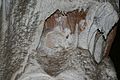 Мармурова печера (Крим) 10.jpg