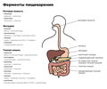 Miniatura para Enzima digestiva