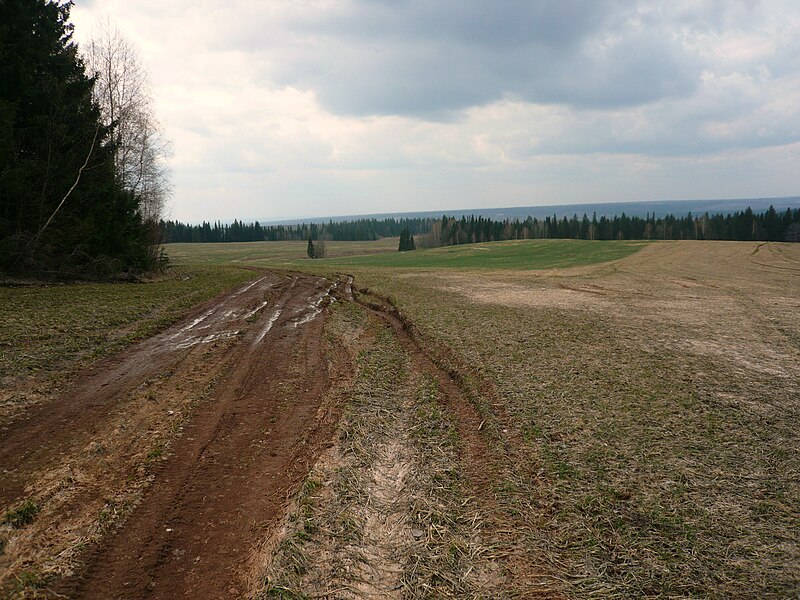 File:Поле около деревни Красоты - panoramio.jpg