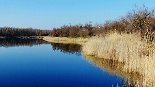 Ставок в с.Смоляне