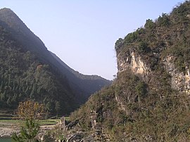 四川青川县竹园镇七佛乡斑竹林 - panoramio (2).jpg