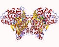 Thumbnail for Asparagine synthase (glutamine-hydrolysing)