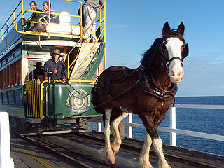 <span class="mw-page-title-main">Victor Harbor Horse Drawn Tram</span>