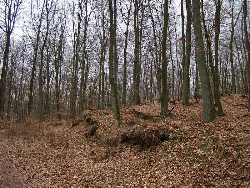 File:20130331Sonnenberg19.jpg