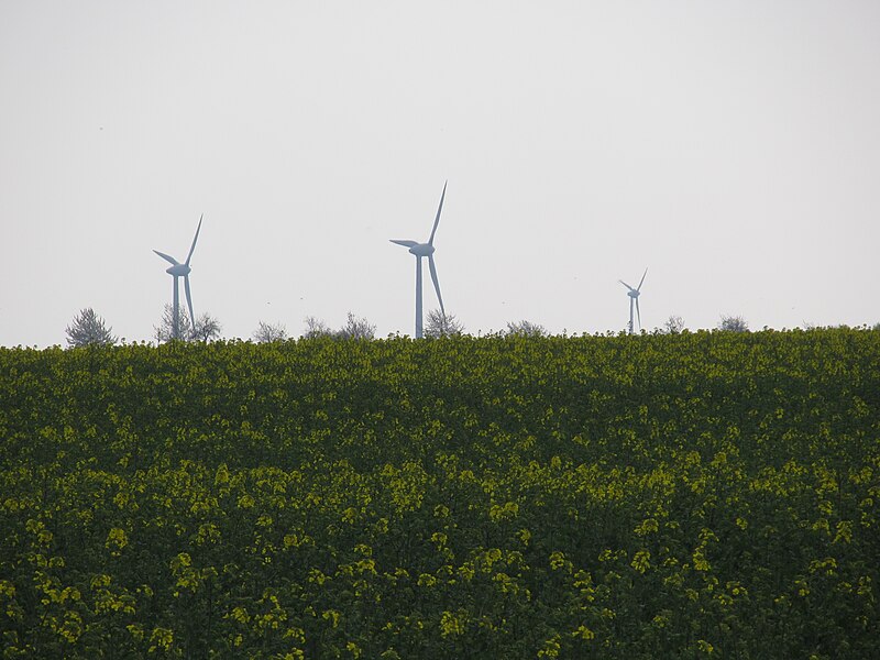 File:20150425 xl 3785-Windkraftanlagen WKA bei Bertikow-Falkenwalde.jpg